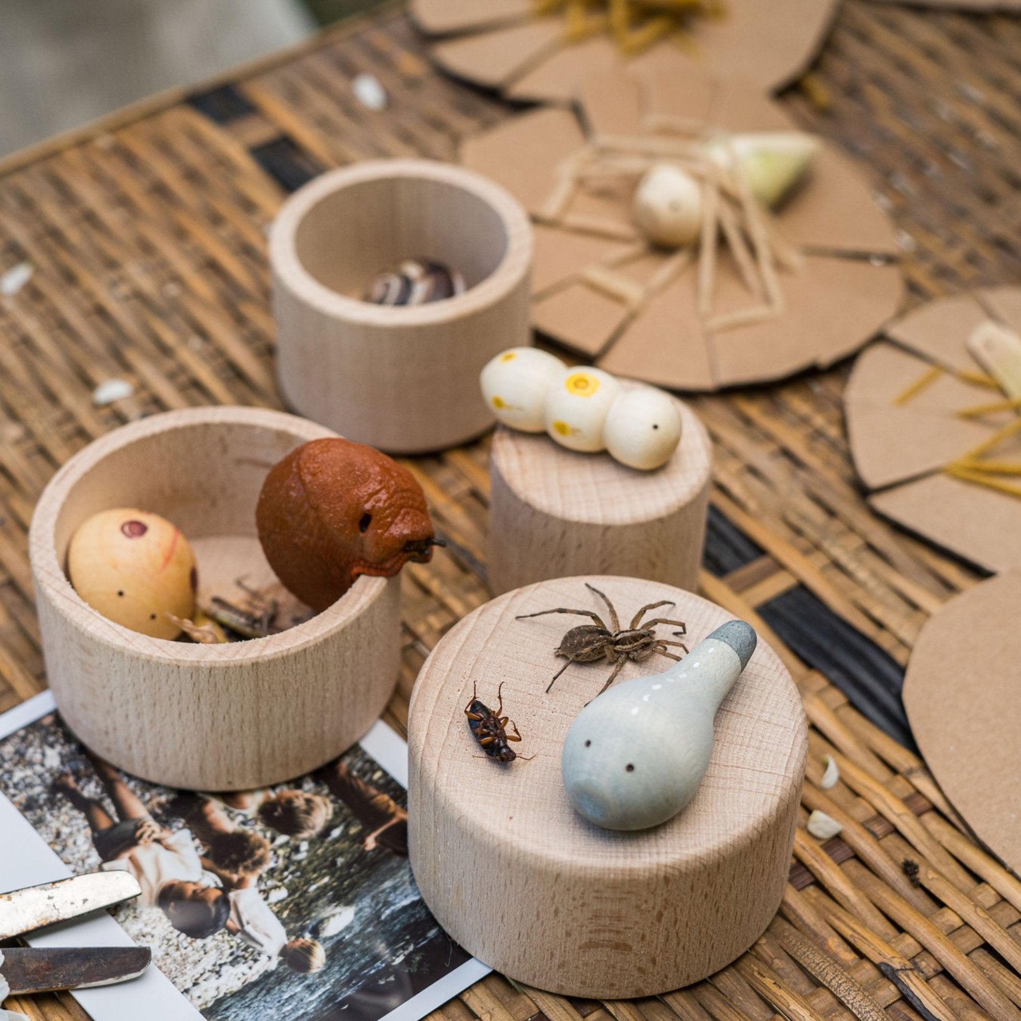 Wildniss Holzspielzeug von Grapat kaufen - Spielzeug, Babykleidung & mehr