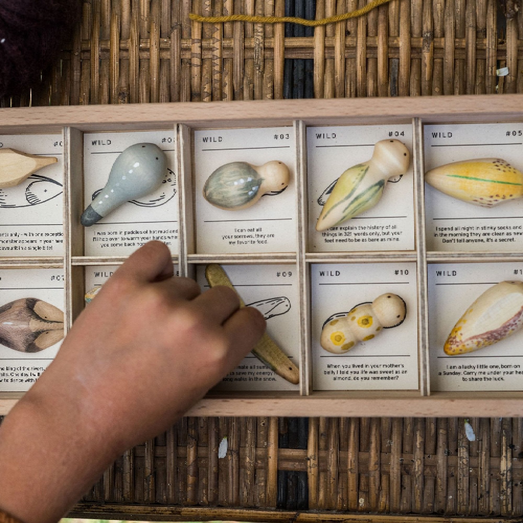 Wildniss Holzspielzeug von Grapat kaufen - Spielzeug, Babykleidung & mehr