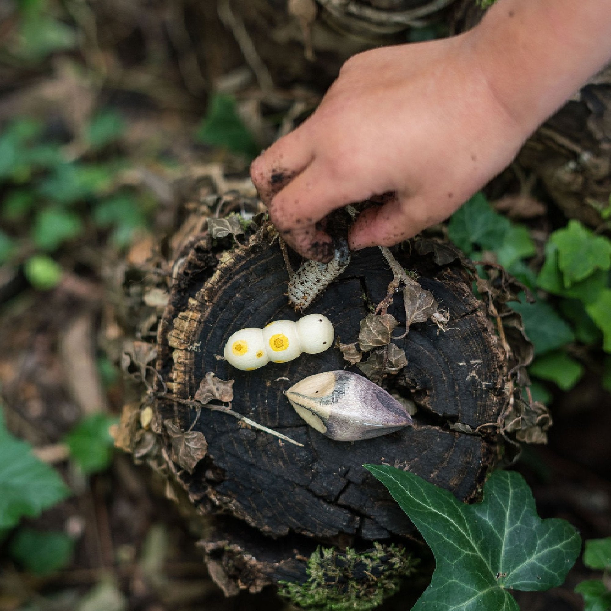 Wildniss Holzspielzeug von Grapat kaufen - Spielzeug, Babykleidung & mehr