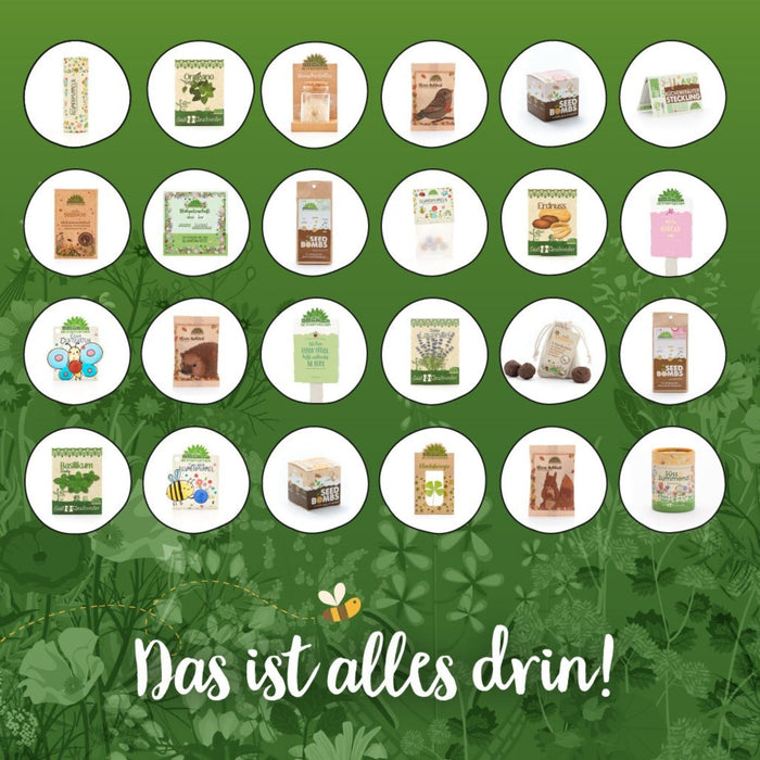 Adventskalender Nachhaltig Kleine Naturerlebnisse von Stadtgärtner kaufen - Spielzeug, Geschenke, Babykleidung & mehr