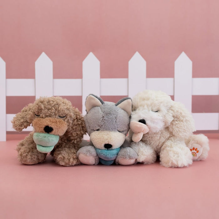 Binky Baby Puppy - Kuscheltier Baby - Hündchen aus recyceltem Plüsch von Olli Ella kaufen - Spielzeug, Geschenke, Babykleidung & mehr