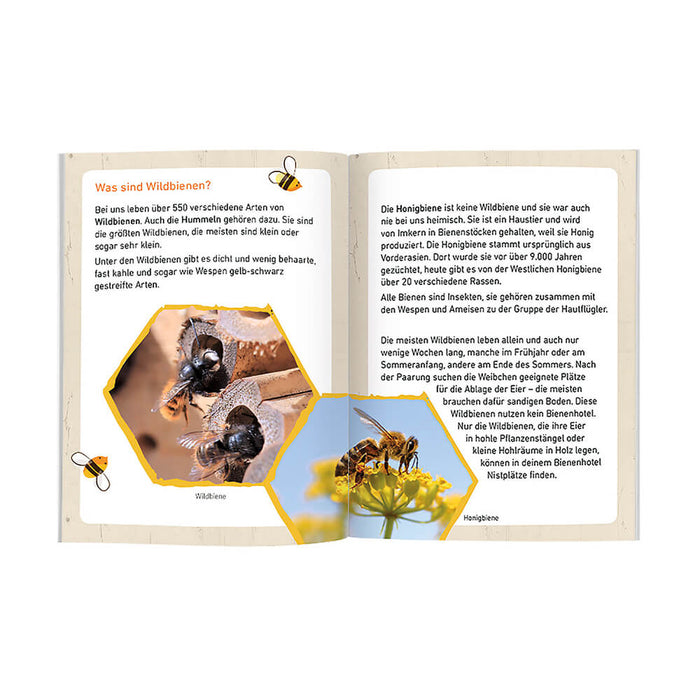 Expedition Natur Bienenhotel von Moses Verlag kaufen - Spielzeug, Geschenke, Babykleidung & mehr