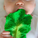 Babyspielzeug “Kendall the Kale” von Oli&Carol kaufen - Baby, Alltagshelfer, Geschenke, Babykleidung & mehr