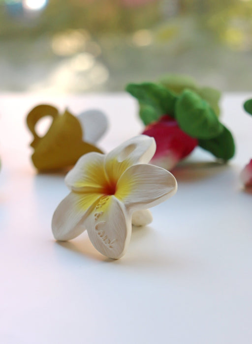 Chewy to go - Hawaii the Flower von Oli&Carol kaufen - Spielzeug, Babykleidung & mehr