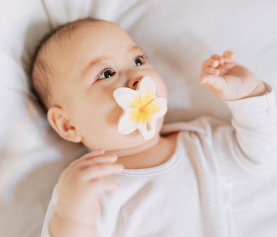 Chewy to go - Hawaii the Flower von Oli&Carol kaufen - Spielzeug, Babykleidung & mehr