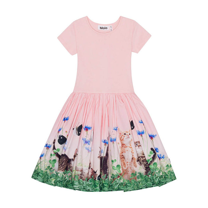 Kleid Kurzarm aus 100% Bio Baumwolle GOTS Modell: Cissa von Molo kaufen - Kleidung, Babykleidung & mehr