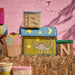 Medium Dino Raffia Toy Basket Dinosaur Print - Aufbewahrungskorb von Rice kaufen - Spielzeug, Kinderzimmer, Babykleidung & mehr