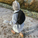 Mini Chunky Backpack von Studio Noos kaufen - Alltagshelfer, Geschenke, Kleidung, Babykleidung & mehr