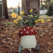 Rollkorb Mushroom Luggy aus Rattan von Olli Ella kaufen - Kleidung, Spielzeug, Alltagshelfer, Geschenke, Babykleidung & mehr