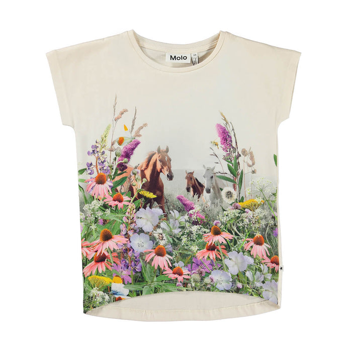 T-Shirt aus 100% Bio Baumwolle GOTS Modell: Ragnhilde von Molo kaufen - Kleidung, Babykleidung & mehr